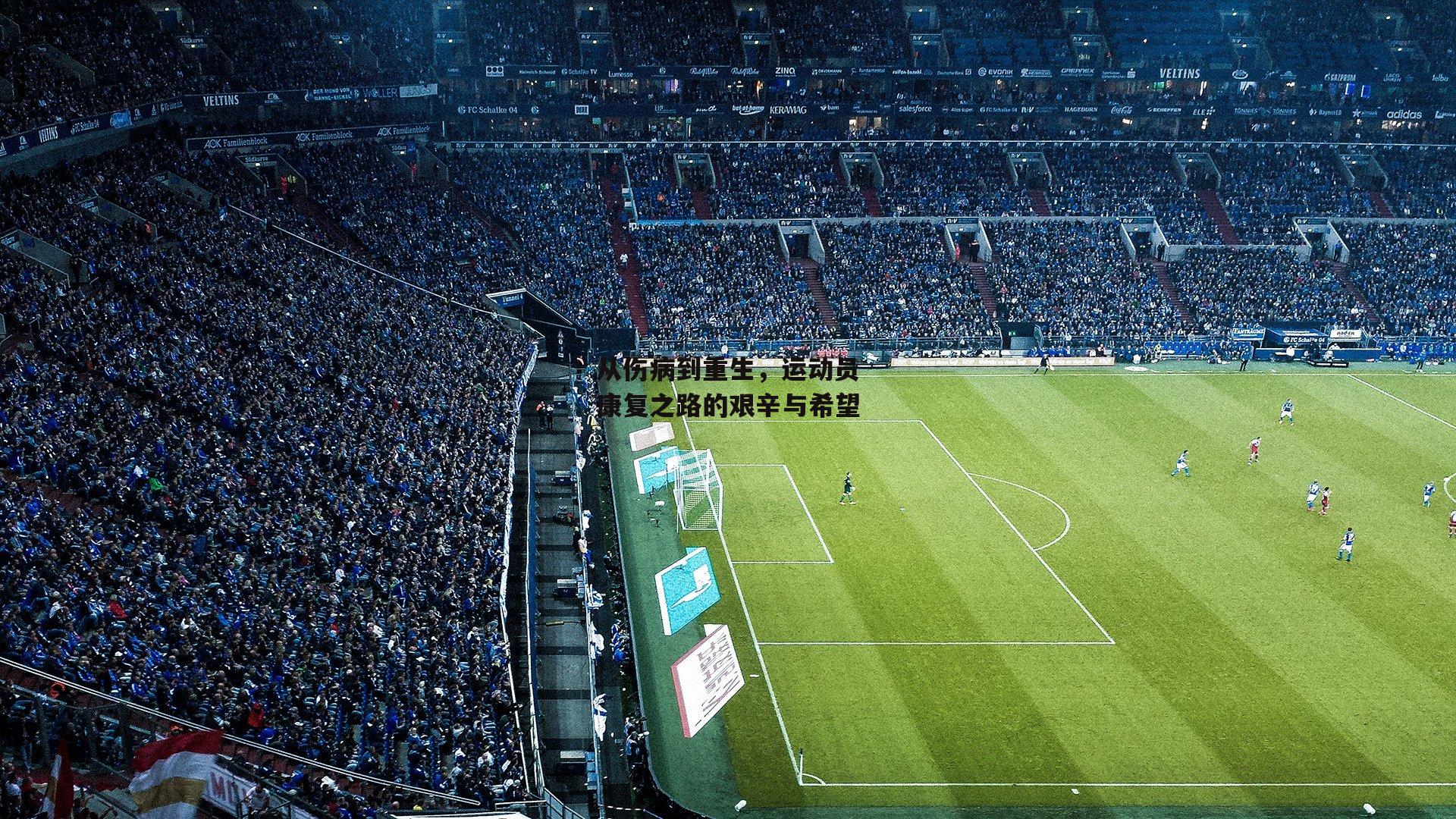 从伤病到重生，运动员康复之路的艰辛与希望