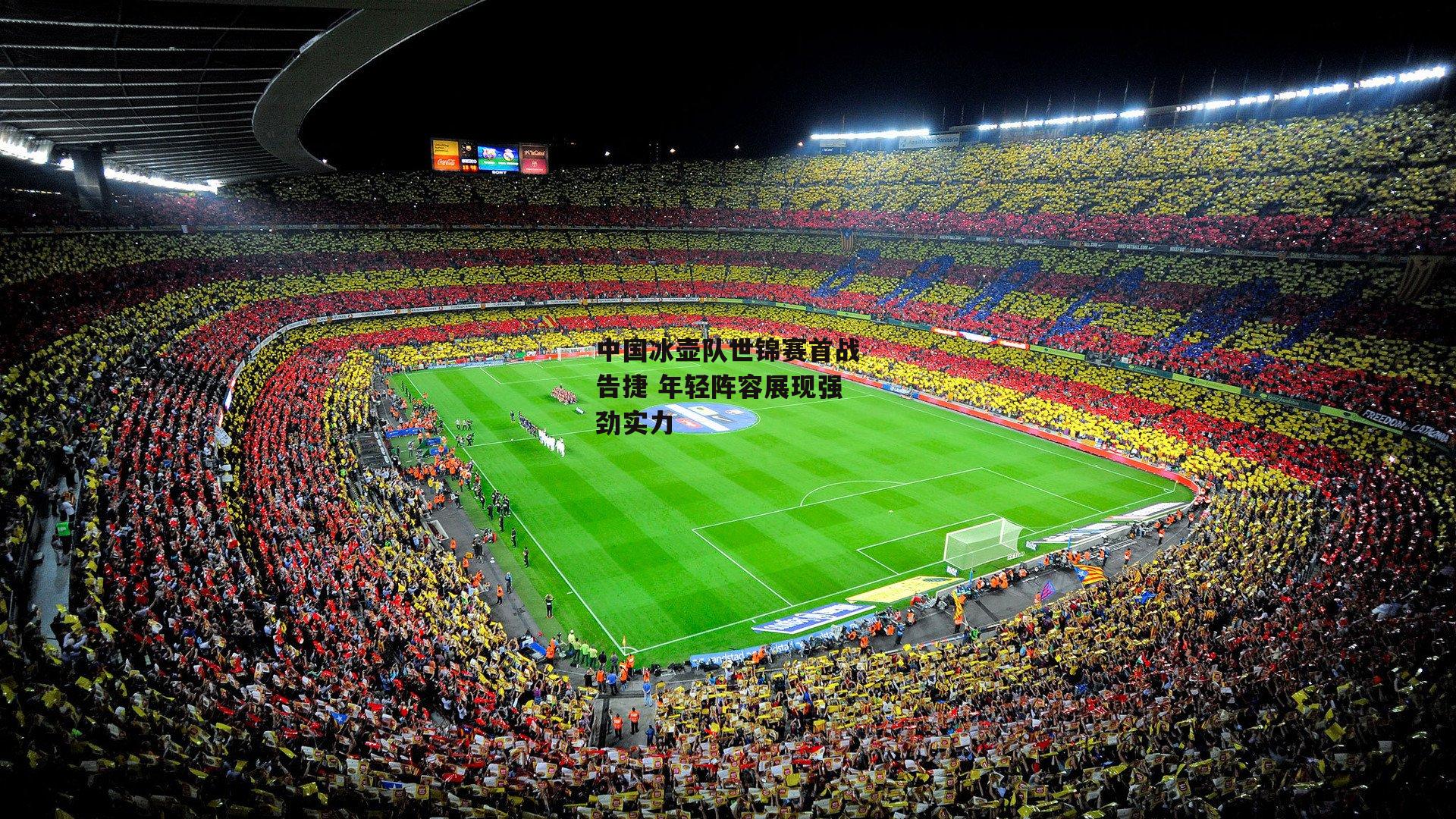 中国冰壶队世锦赛首战告捷 年轻阵容展现强劲实力