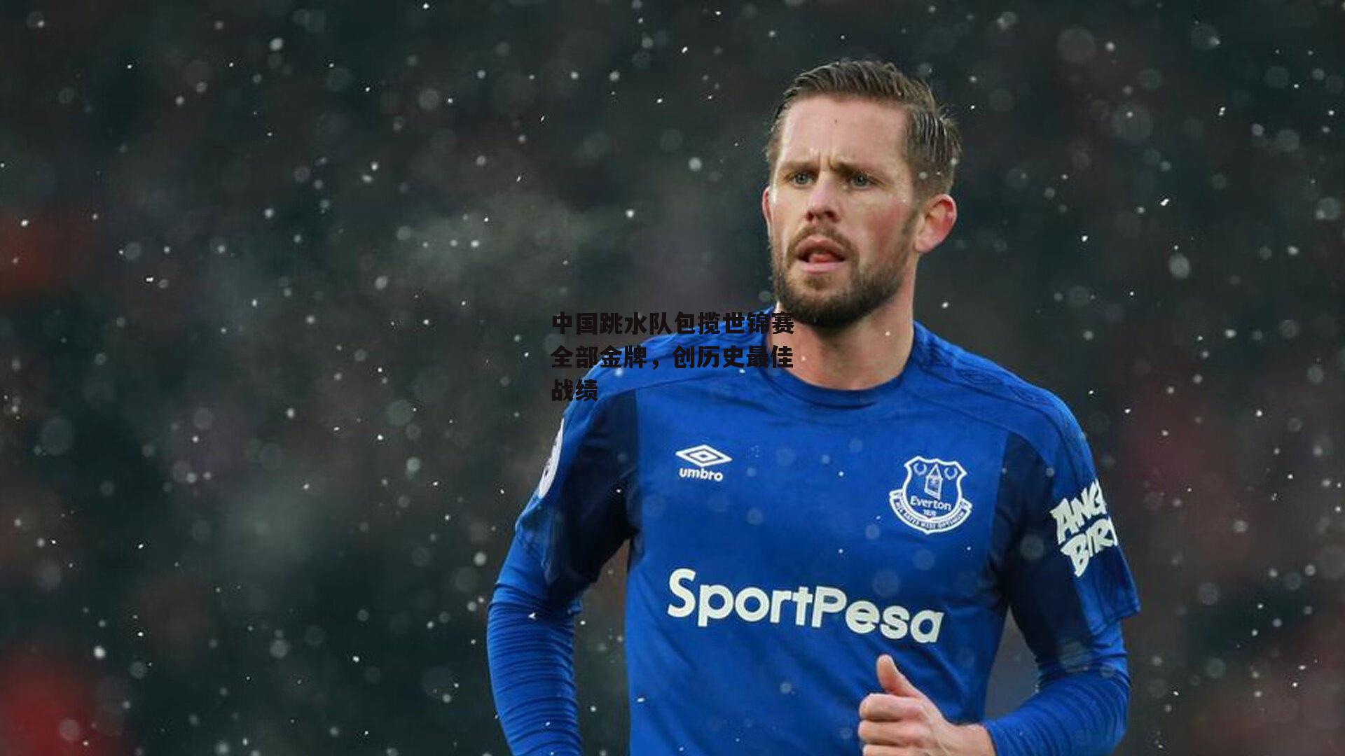 中国跳水队包揽世锦赛全部金牌，创历史最佳战绩