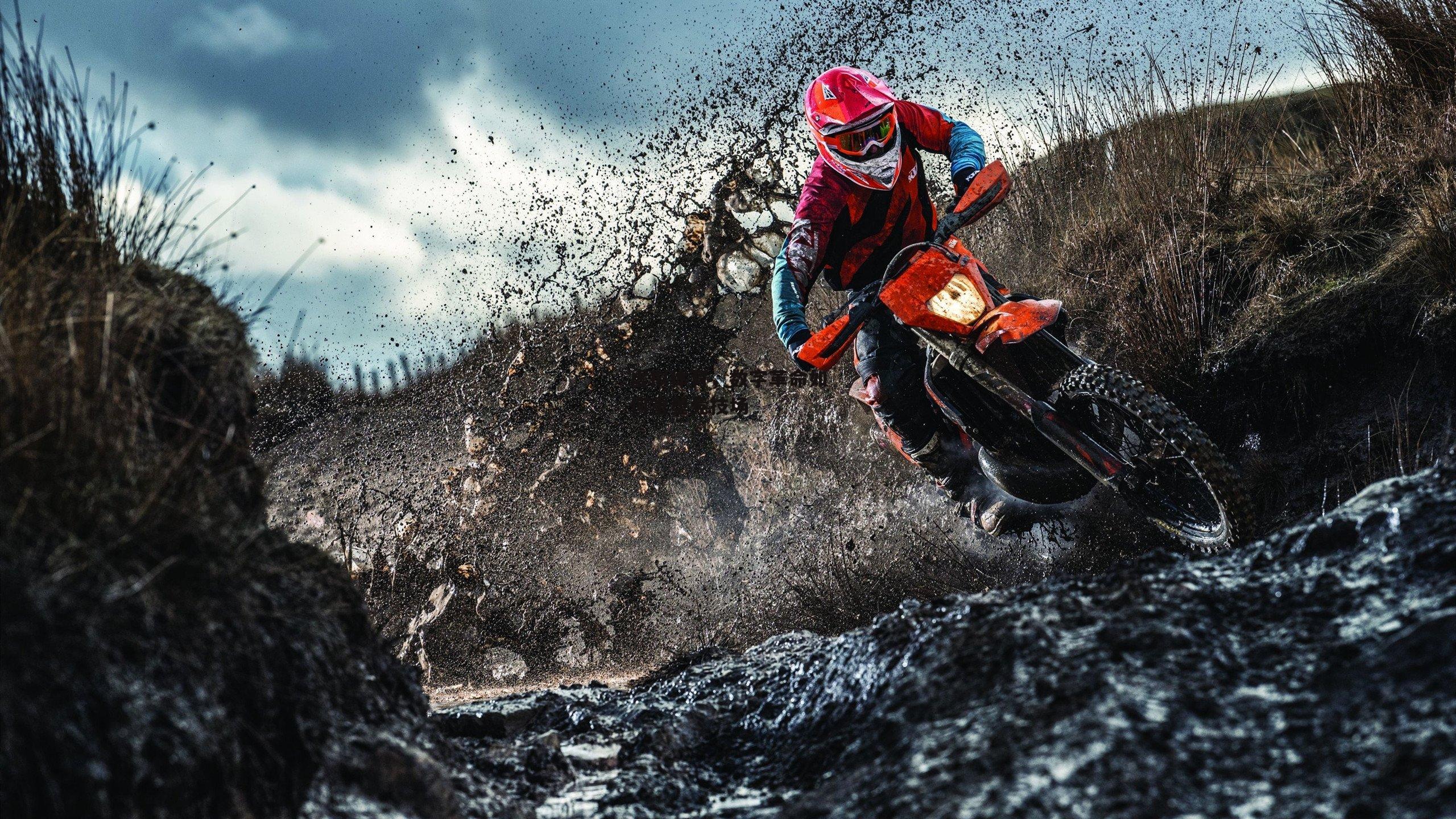 虚拟体育，数字革命如何重塑竞技场